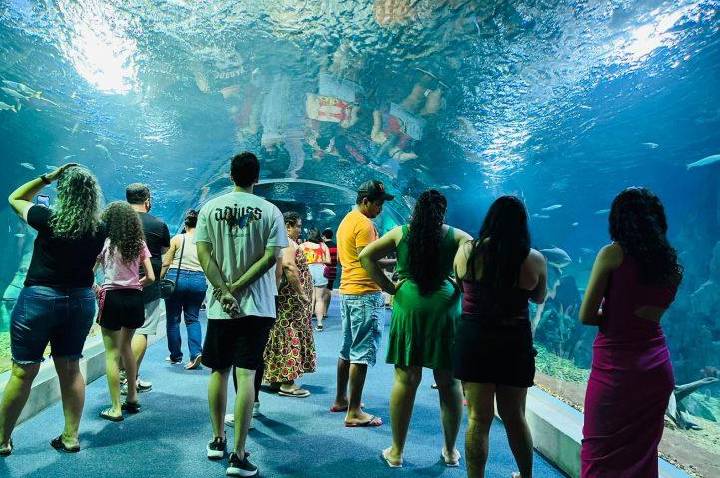Bioparque Pantanal se prepara para sediar evento nacional de zoológicos e aquários