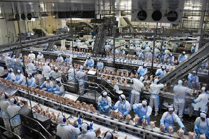 Exportações de Mato Grosso do Sul chegam a US$ 7,2 bilhões até julho
