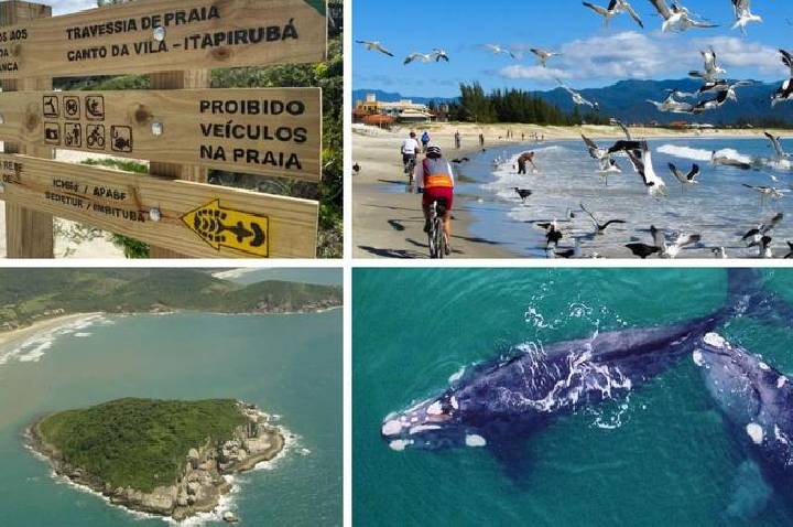 Trilha Caminhos da Baleia Franca une natureza, história e cultura em percurso de 172 quilômetros no litoral catarinense