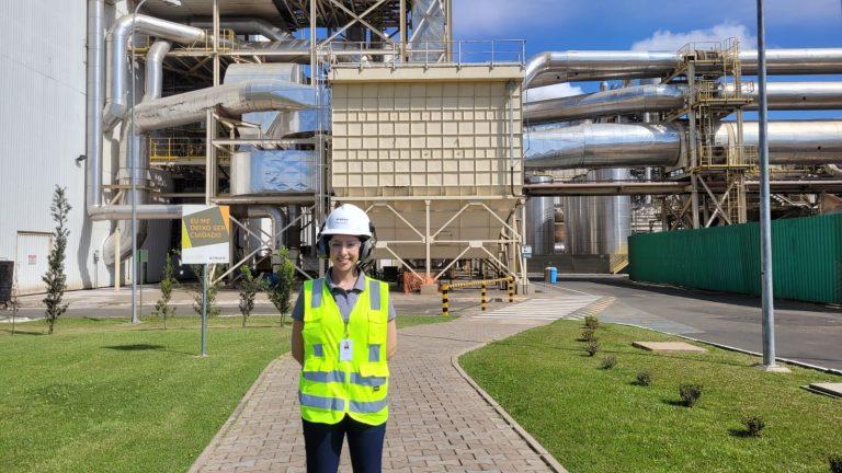 Empresa Arauco já planeja ações para fábrica em MS (Foto: Divulgação/Arauco)