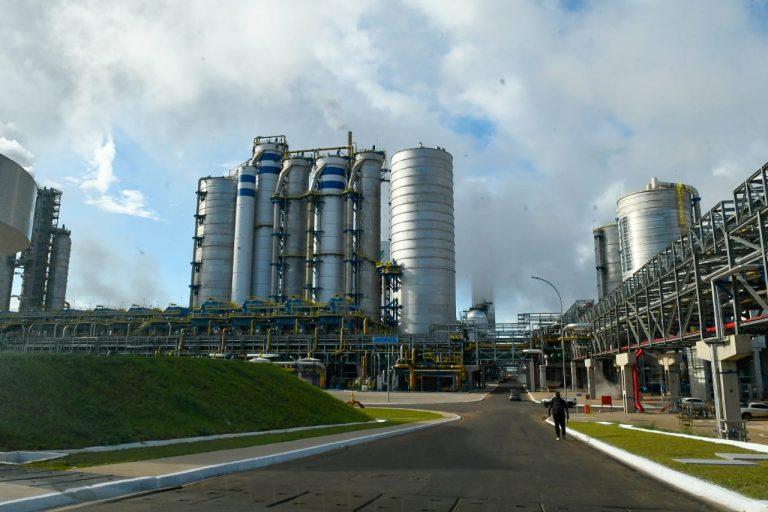 Fábrica da Suzano em Ribas do Rio Pardo (Foto: Bruno Rezende)