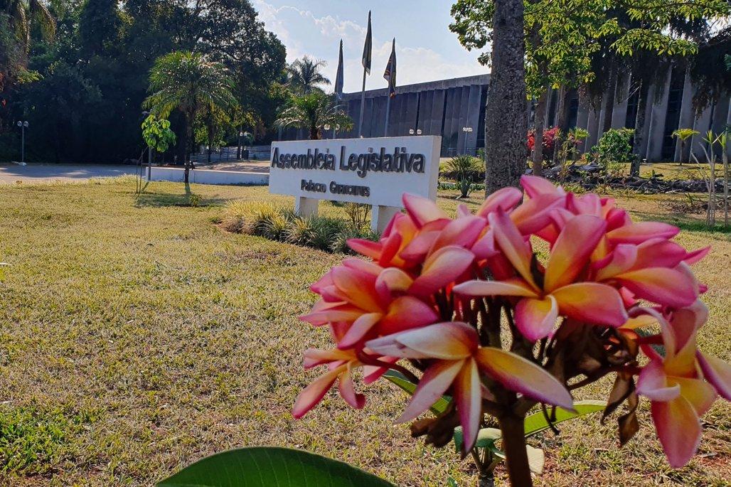 Retrospectiva: Combate à violência contra a mulher é prioridade na ALEMS