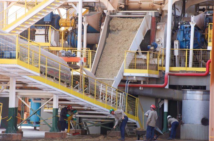 MS alia crescimento econômico e inclusão social para melhorar a vida das pessoas