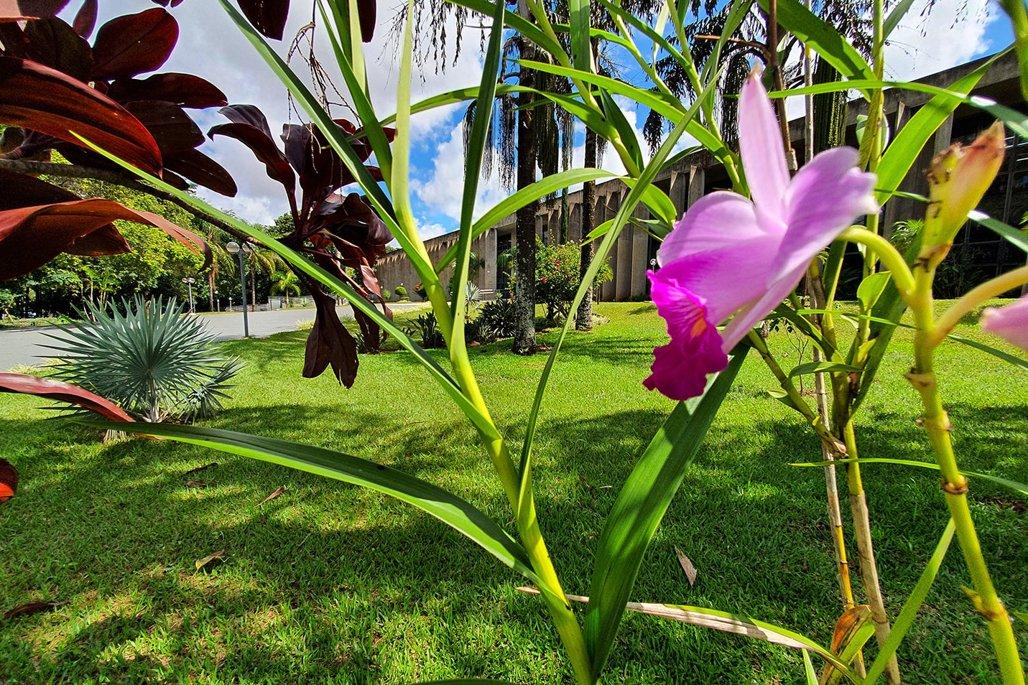Agenda: Visitas, reuniões e sessões plenárias movimentam a primeira semana de março