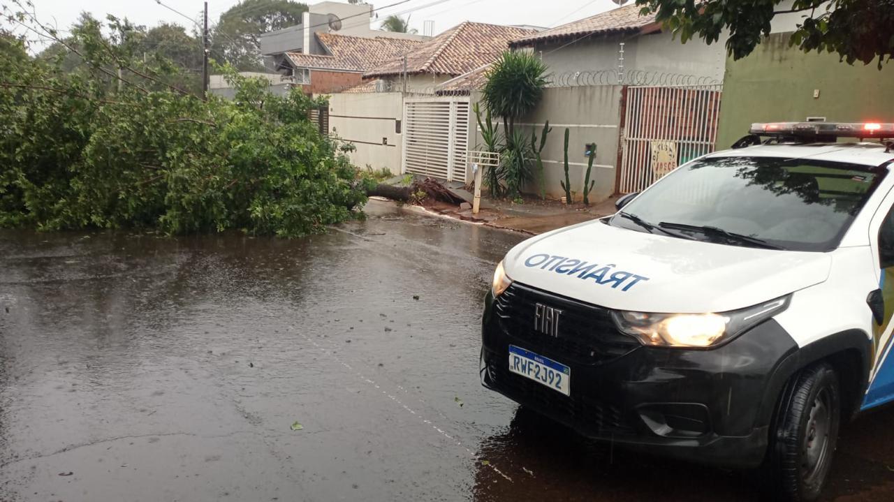 Alerta amarelo prevê tempestade em Campo Grande