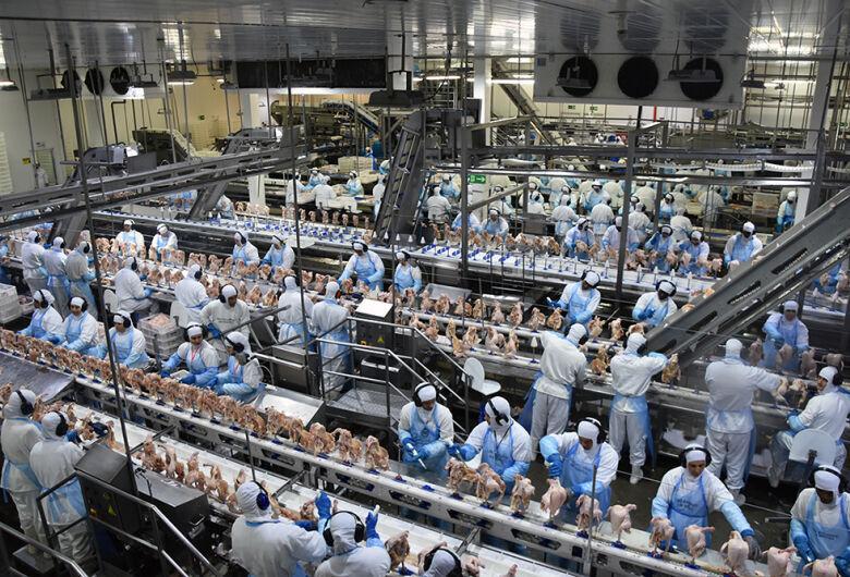 Exportações de Mato Grosso do Sul chegam a US$ 7,2 bilhões até julho