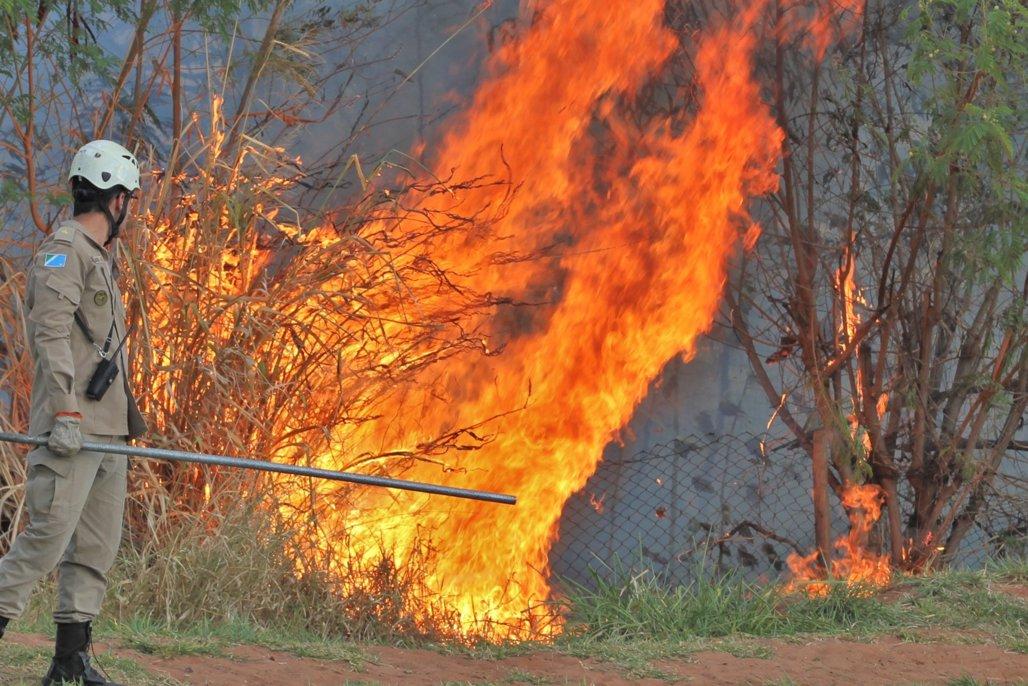 Fumaça que sufoca: Estado registra uma média de quase seis queimadas urbanas por dia