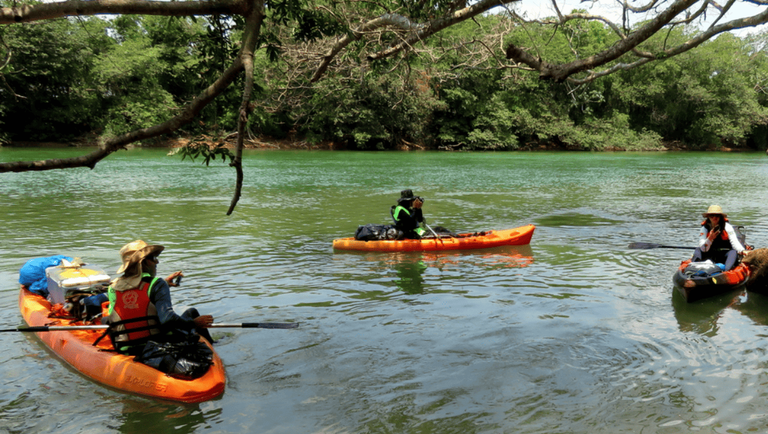 Rota dos Pioneiros: a maior trilha aquática do Brasil navega pelas águas e história do Rio Paraná