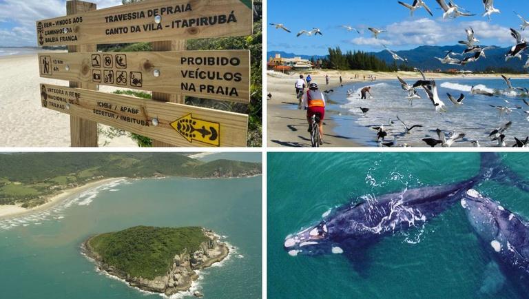 Trilha Caminhos da Baleia Franca une natureza, história e cultura em percurso de 172 quilômetros no litoral catarinense